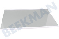 Hisense HK2003402  Glasplaat geschikt voor o.a. NRK4181CS4, NRK4182CW4