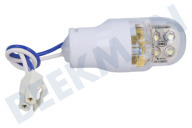 Hisense HK1635757  Lamp geschikt voor o.a. RD23DC4SAD, RD22DC4SHAC