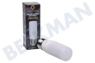 Vintage LedLight 0065  LED Slim Bulb E27 12W 220-240V 2700K Dimbaar geschikt voor o.a. Dimbaar, 12W, 220-240V, 2700K