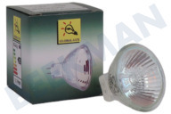 Alternatief 4050300443935  Halogeenlamp geschikt voor o.a. GU4 12v 10 watt Halogeen steek lamp 1 st geschikt voor o.a. GU4 12v 10 watt
