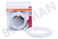 Osram  4058075604612 SubstiTUBE T9 12W Cool White 4000K geschikt voor o.a. 12W 4000K 1200 lumen