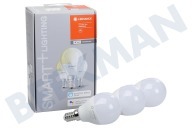 Smart+ WIFI Classic P40 Kogellamp 5W E14 3 Pack
