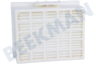 Filter geschikt voor o.a. BGL3HYG01, BGB2X11104 High Performance Hygiene