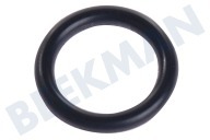 Karcher 63629220  O-ring geschikt voor o.a. SC1402 8,73 x 1,78 geschikt voor o.a. SC1402