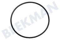Karcher 90804250 9.080-425.0 Hogedruk Afdichting geschikt voor o.a. K3800, K4800, K5800 O-ring achter cilinderkop geschikt voor o.a. K3800, K4800, K5800