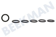 Karcher 63621510 6.362-151.0 Hogedruk Reiniger O-ring 10 x 2 mm. geschikt voor o.a. K4700EU, K5500EU