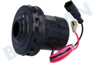 Numatic 910622  Zuigmotor geschikt voor o.a. 244NX