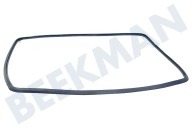 Electrolux 3577343019 Afdichtingsrubber geschikt voor o.a. BE2003021M, BE2103111M  Afdichtingsrubber deur geschikt voor o.a. BE2003021M, BE2103111M