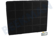Zanussi 9029865731 Dampkap ECFB01ST Koolstoffilter Odourclean geschikt voor o.a. DIE5960HB