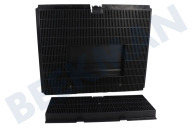 Zanker 9029804276 Zuigkap MCFB87 Koolstoffilter geschikt voor o.a. DVK5661HB, KHV94770BA