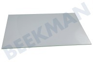 Ikea  140040025011 Deurglas Binnenkant geschikt voor o.a. ZOP37982XK, BSE577021M