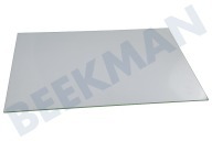 Ikea  3561630017 Deurglas Intern geschikt voor o.a. BP801271SM, EEC5700AOX