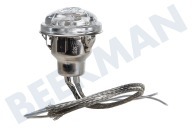 Lamp geschikt voor o.a. EMC38905, ZNF31X Lamp halogeen. Compleet met houder