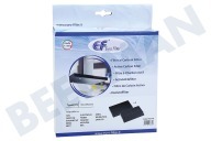 Eurofilter C00308166  Filter geschikt voor o.a. AGS, HAI9VT, AGMMT Koolstoffilter 193x135 geschikt voor o.a. AGS, HAI9VT, AGMMT