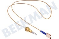 Scholtes C00052986  Thermokoppel geschikt voor o.a. PH940MS, C649PA, XM180GD van kookplaat geschikt voor o.a. PH940MS, C649PA, XM180GD