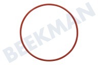 Afdichtingsrubber geschikt voor o.a. HG3111MTA, GKB635RVS O-ring 56,8x1,78