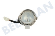 Pelgrim 23803  Lamp Spotje 20W Halogeen, RVS Rand