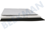 DeLonghi 5537000900 Luchtbevochtiger Filter geschikt voor o.a. DAP700E Hepa + koolstof filter geschikt voor o.a. DAP700E