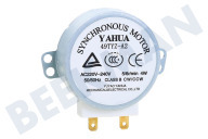 Gorenje 104213 Ofen-Mikrowelle Motor geeignet für u.a. MO200DGE, MO200MW, MO170DGE von Drehteller 4W geeignet für u.a. MO200DGE, MO200MW, MO170DGE