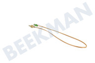 Privileg 162120  Thermokoppel geschikt voor o.a. G6N5BX, GI4307E