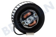 Whirlpool 481236178029  Ventilatormotor met waaier geschikt voor o.a. JT356, JT369BL