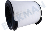 Philips FY1700/30 Philips vervangend filter Geintegreerd 3-in-1 geschikt voor o.a. AC1711, AC1715