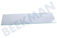 Glasplaat geschikt voor o.a. MSL600RVSP02, SLK600KORP02 Dampscherm 482x137mm