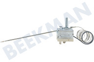 Thermostaat geschikt voor o.a. EM 24 M-410 AG34,KFF275 penvoeler -299 graden-