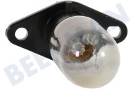 LG 27974  Lampje geschikt voor o.a. Magnetron 25W haaks met bev. plaat geschikt voor o.a. Magnetron