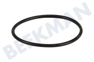 O-ring geschikt voor o.a. SUP025, ITALIA Van filter DM=20mm