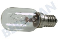 4713-000168 Lamp geschikt voor o.a. CE115K-CE118KF 230V 25W