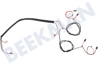 Kabelboom geschikt voor o.a. D7642/17, D7660/15 van verlichting