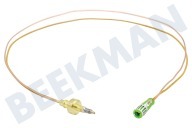 Inventum 30601000070  Thermokoppel geschikt voor o.a. VFG6020GRVS, VFG6034WGZWA, VFG6020GWIT