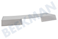 Faber 133.0053.055 Dampkap Filter geschikt voor o.a. 2156 LG A60, 2156 BK A60, 2156 LGX A60 Vetfilter, Metaal, 250x450 geschikt voor o.a. 2156 LG A60, 2156 BK A60, 2156 LGX A60