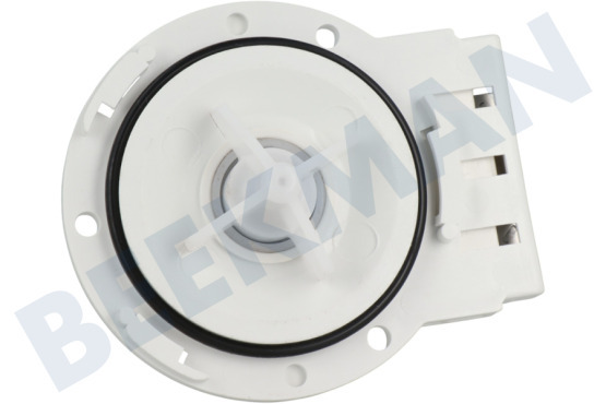 Faure Wasmachine Pomp Afvoerpomp -Leili-