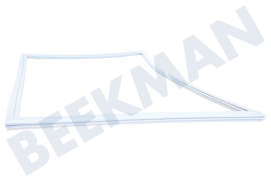 Siemens Kühlschrank Türgummi