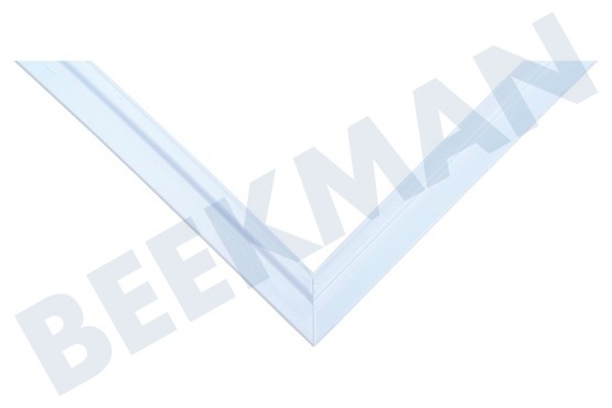 Siemens Kühlschrank Türgummi