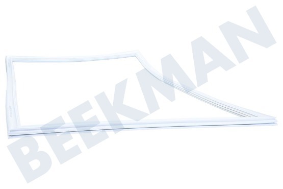 Siemens Kühlschrank Türgummi