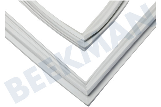 Altus Kühlschrank Dichtungsgummi Kühlteil