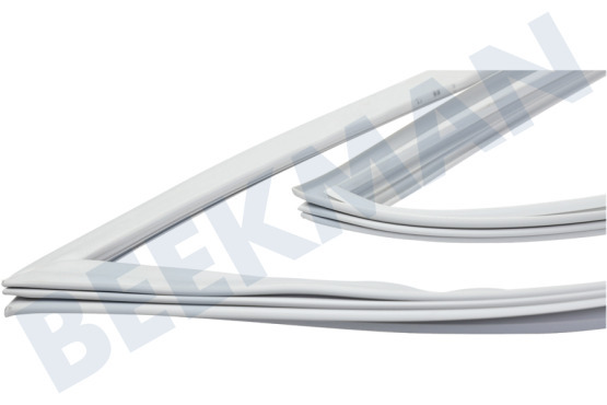 Altus Kühlschrank Dichtungsgummi Kühlteil