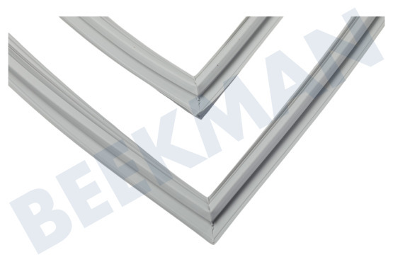 Schaub lorenz Koelkast 4669521000 Afdichtingsrubber Koelkast