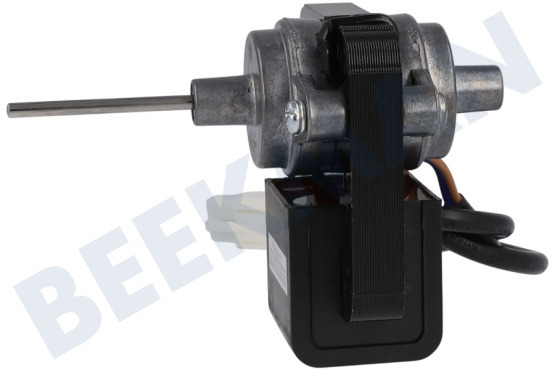 Blomberg Koelkast Motor Van ventilator