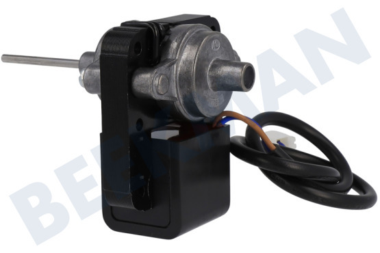 Blomberg Koelkast Motor Van ventilator