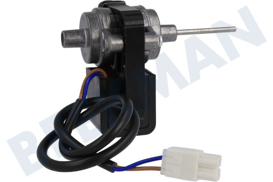 Blomberg Koelkast Motor Van ventilator