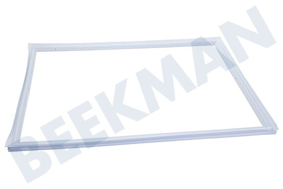 Pelgrim Kühlschrank Türgummi