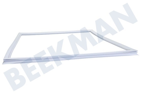 Pelgrim Kühlschrank Türgummi