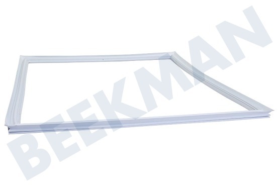 Pelgrim Kühlschrank Türgummi