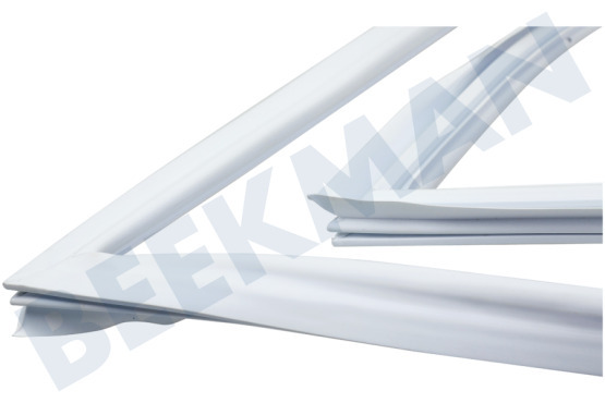 Etna Kühlschrank Türgummi