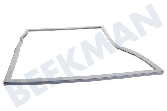 Liebherr Kühlschrank Dichtungsgummi Kühlteil, grau