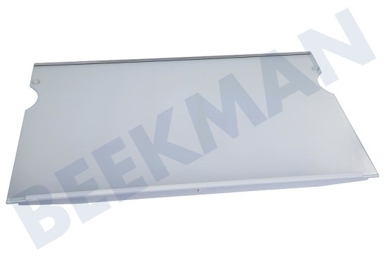 Liebherr Kühlschrank 7272829 Glasplatte groß, komplett